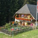 Die Blumenpracht auf der Heimenrueti